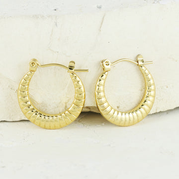 Eternal Bling Stainless Steel Hoops